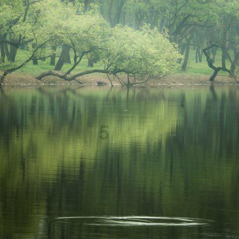 湖南浏阳：重拳出击治“四乱”，干群协作护碧水